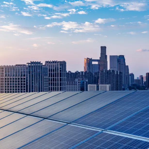 A closeup of solar panels with city high-rise buildings in the background